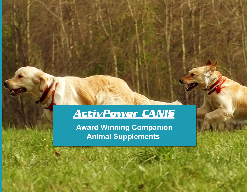 ActivPower Canis